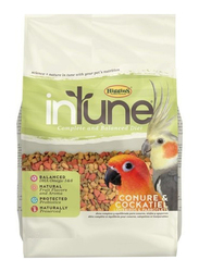 Higgins Intune Conure & Cockatiel Birds Dry Food, 0.90Kg