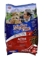 Miglior Cane Croquettes with Beef Flavoured Dry Food for Dog, 4Kg