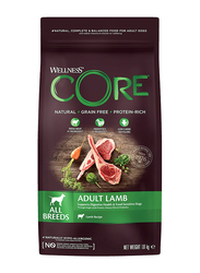 Wellness Core All Breeds Lamb Recipe Adult Dog Dry Food, 1.8Kg
