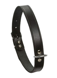 Beeztees Leather Collar for Dogs, 32 x 10cm, Black