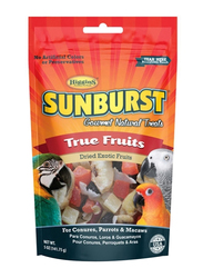 Higgins Sunburst Treats True Fruits Birds Dry Food, 5oz