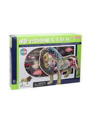 Chapmei 4D Lion Anatomy, Multicolour, Ages 8+