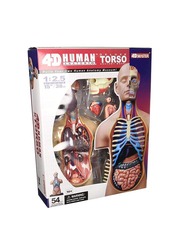 Chapmei 4D Human Anatomy-Small Torso, Multicolour, Ages 8+