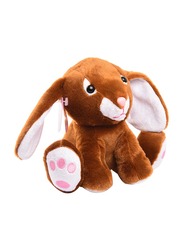 Cuddly Lovables Bunny Plush Toy, Ages 2+