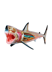 Chapmei 4D Great White Shark Anatomy, Multicolour, Ages 8+