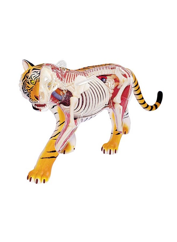 Chapmei 4D Vision Animal-Tiger, Multicolour, Ages 8+