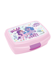 Rainbow Max Little Pony Lunch Box Container, Multicolour
