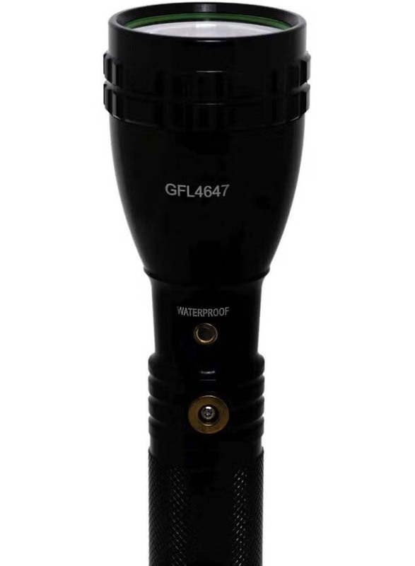 Geepas 2-Piece Rechargeable LED Flashlight, Black/Blue