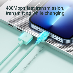 Joy Room 2-Meter Fast Charging & Data Transmission Lightning Cable, USB Type A to Lightning for Apple Devices, S-2030M13, Green