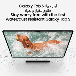 Samsung Galaxy Tab S9 256GB Graphite 11-inch Tablet with Pen, 12GB RAM, 5G, UAE Version