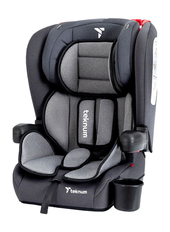 

Teknum Pack And Go Foldable Car Seat, Grey