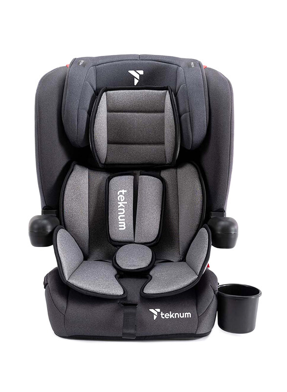 

Teknum Pack and Go Foldable Car Seat, Grey