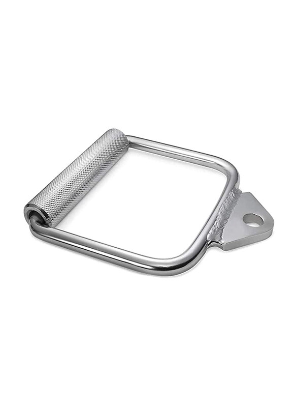 

Sky Land D-Handle Lat Pull-Down, Chrome