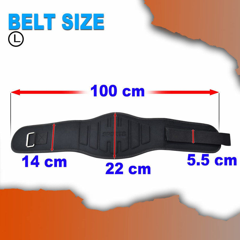 Sky Land Sports Weight Lifting Belt, Large, Black