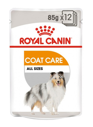 Royal Canin Coat Care All Sizes Dog Wet Food, 12 x 85g