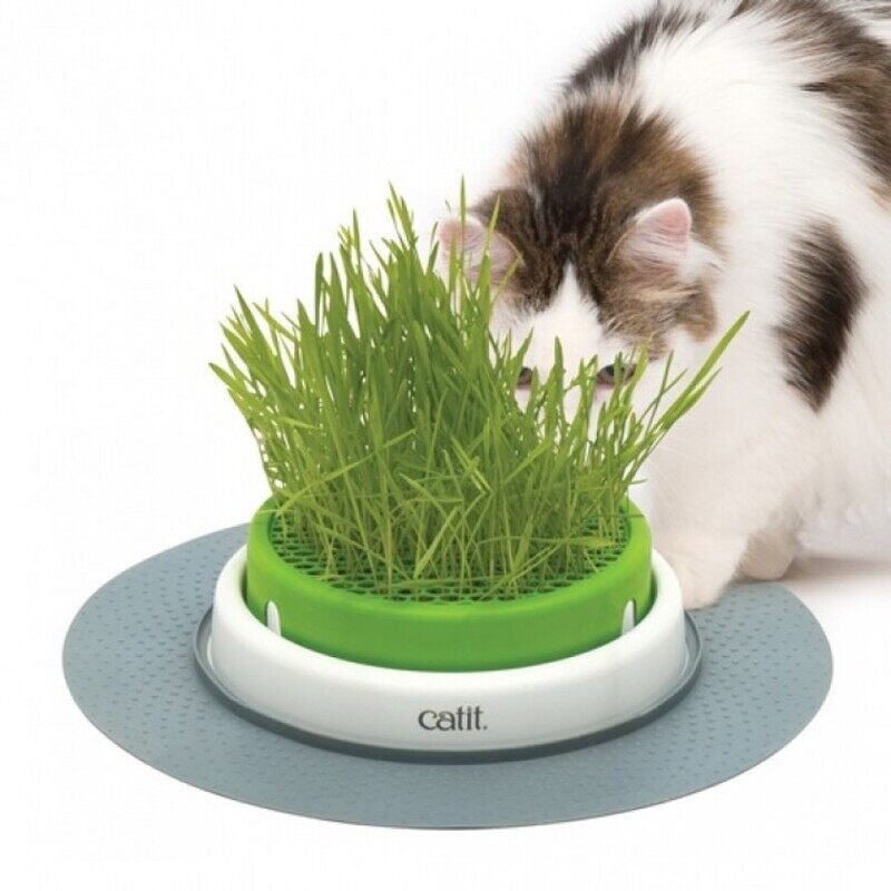 

Catiti Catit Grass Planter - M