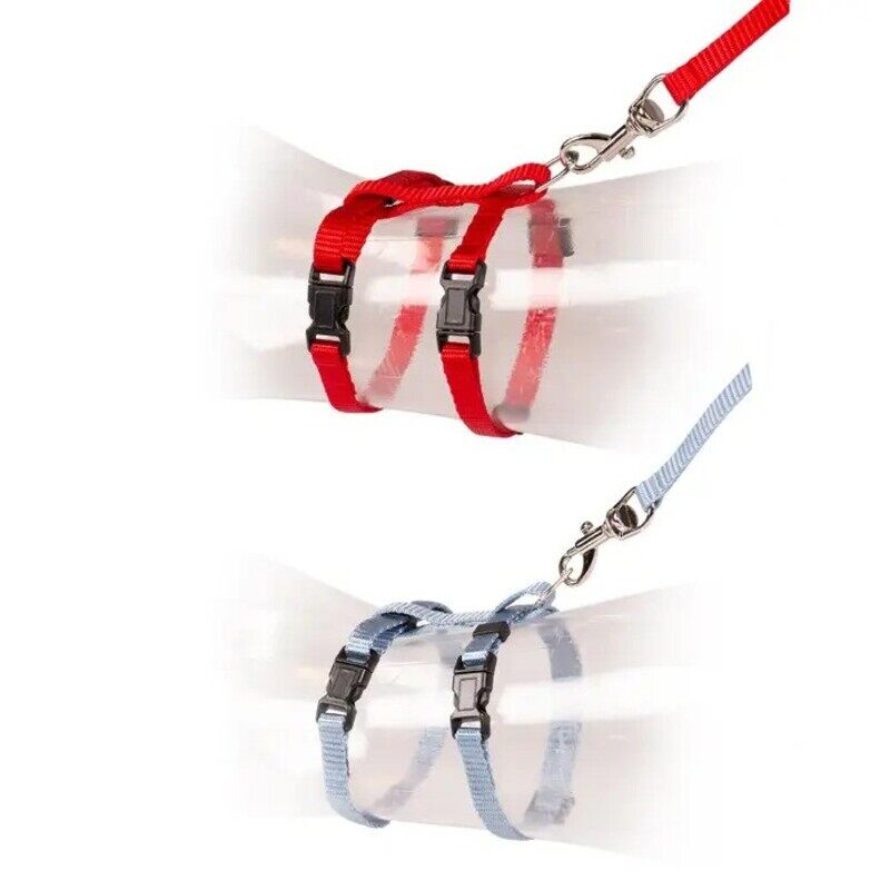 

Duvo+ DUVO Kitten Harness-Leash - Grey/Red - S