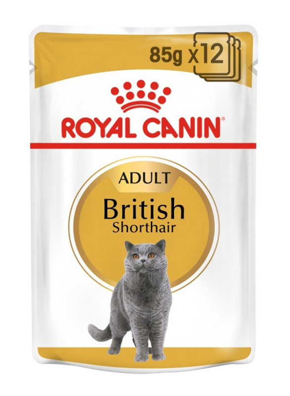 Royal Canin Adult British Shorthair Cat Wet Food, 12 x 85g