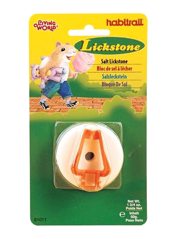 Living World Jumbo Salt Lickstone with Hanger, 50g