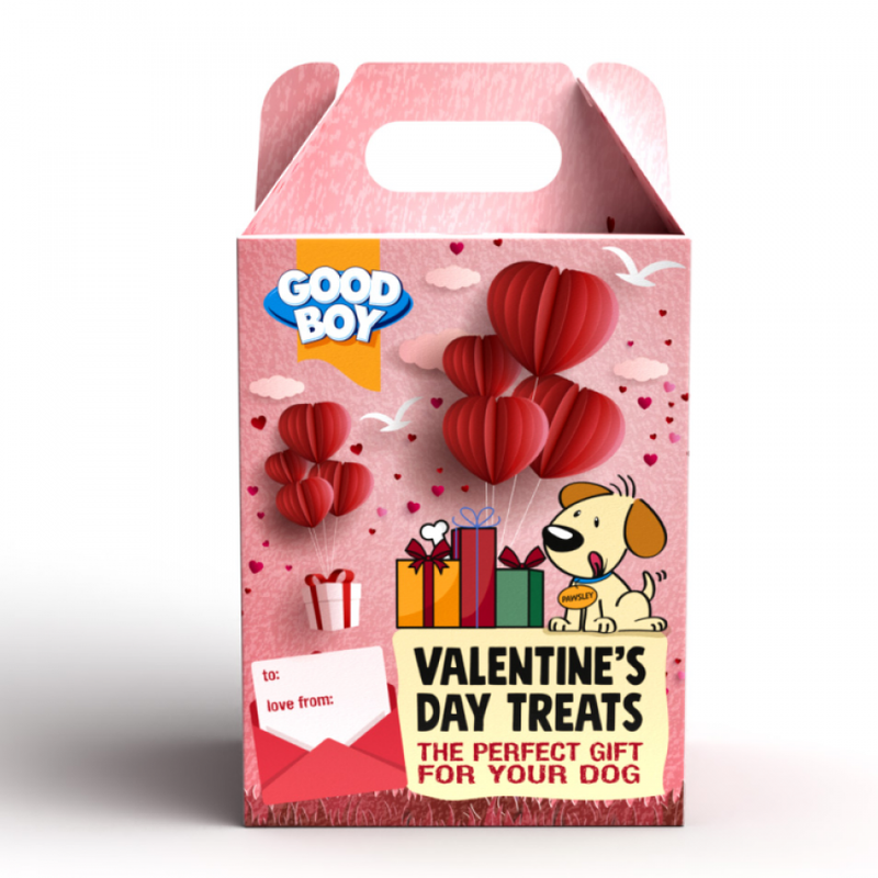 

Good Boy Armitage Valentine Pack - Dog Treat - 4*60g