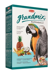 Padovan GrandMix Large Parrot Dry Food, 600g