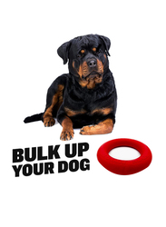 Bully Max Heavy Duty Dog Chew Ring Toy, Medium, Red