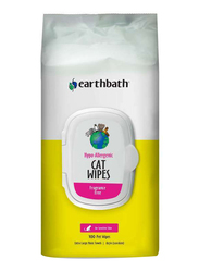 Earth Bath Fragrance Free Cat Wipe for Cleaning & Conditioning, 100-Piece, XL, Yellow
