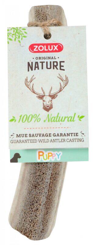 

ZOLUX Natural Treat - Puppy - Deer Antler - S