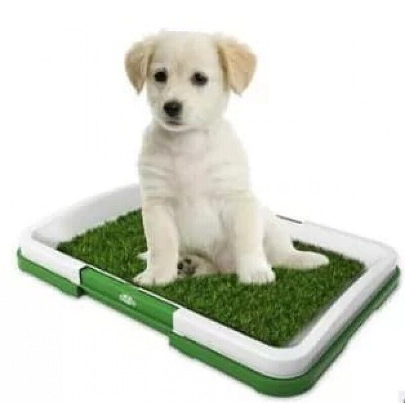 

Generic Puppy Potty Grass Pad - 46.5X34.5X6.5 CM - M