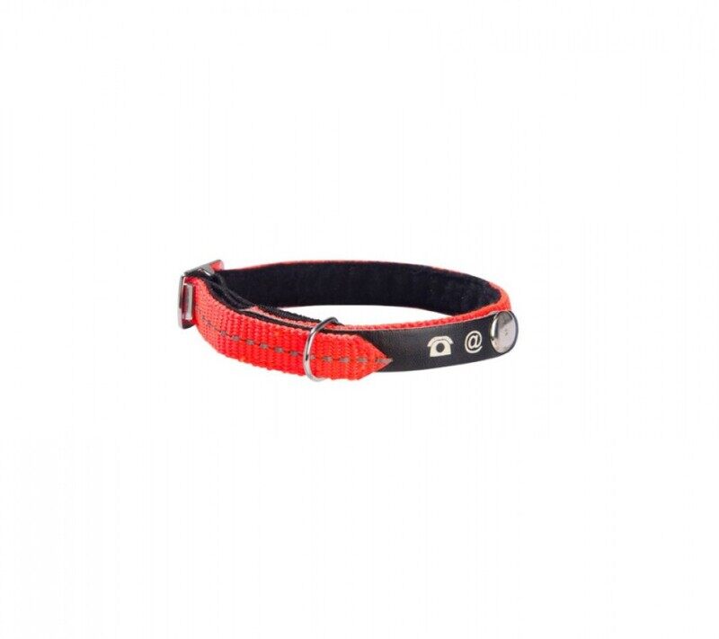 

Bobby Cat Collar - Reflective - Orange - M