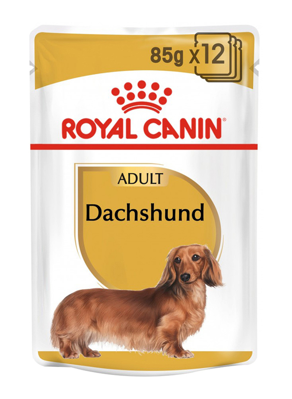Royal Canin Adult Dachshund Pouch Dog Wet Food, 12 x 85g