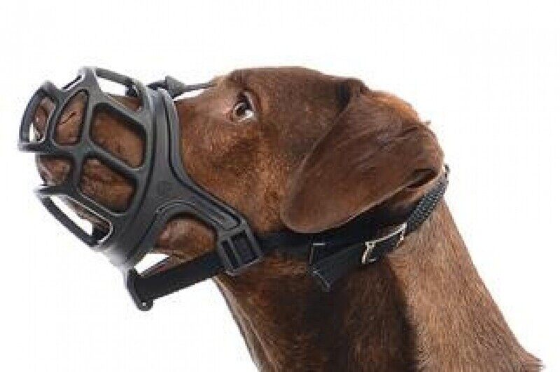 

KRUUSE BUSTER Dog Muzzle Black - Size 3