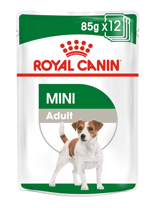 Royal Canin Mini Adult Dog Dry Food, 85g