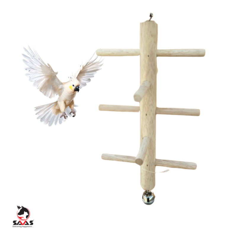 

Generic Bird Toy (SK001) - Wooden - M