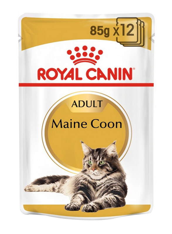 

Royal Canin Adult Maine Coon Wet Cat Food, 85g