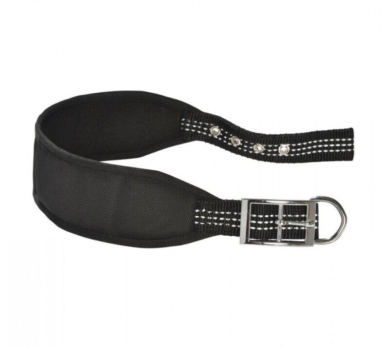 

Bobby Dog Collar - Levrier Oscar - Black - L