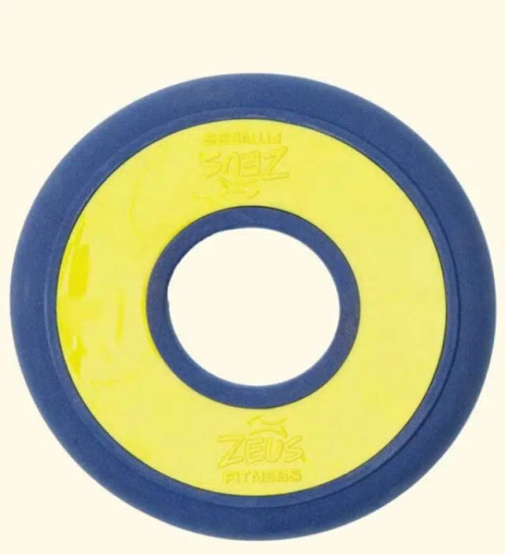 

Zeus Dog Toy Fitness Fetch Disc - Blue & Yellow - 23cm