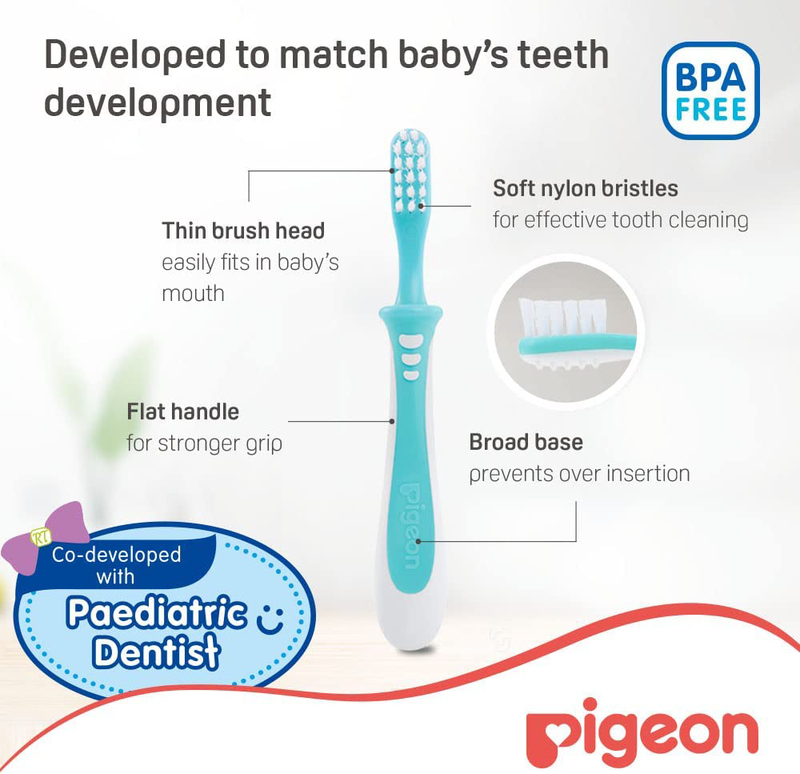 Pigeon Training L-3 Toothbrush, Aqua