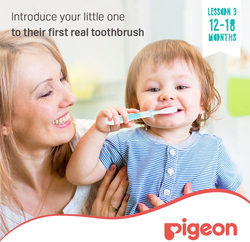 Pigeon Training L-3 Toothbrush, Aqua