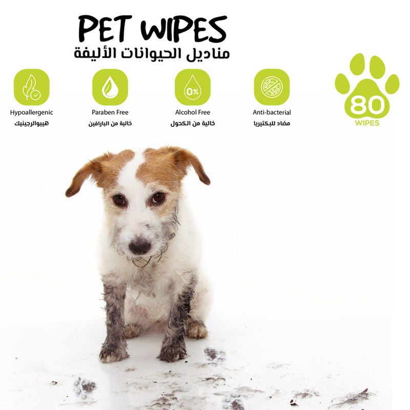 Three Little Pets PET WIPES Hypoallergenic Deodorizing Grooming for Dogs, Cats & Aloe Vera Extract, 97% Water, Paraben-Free, Alcohol-Free, Antibacterial Unscented - 80 pcs