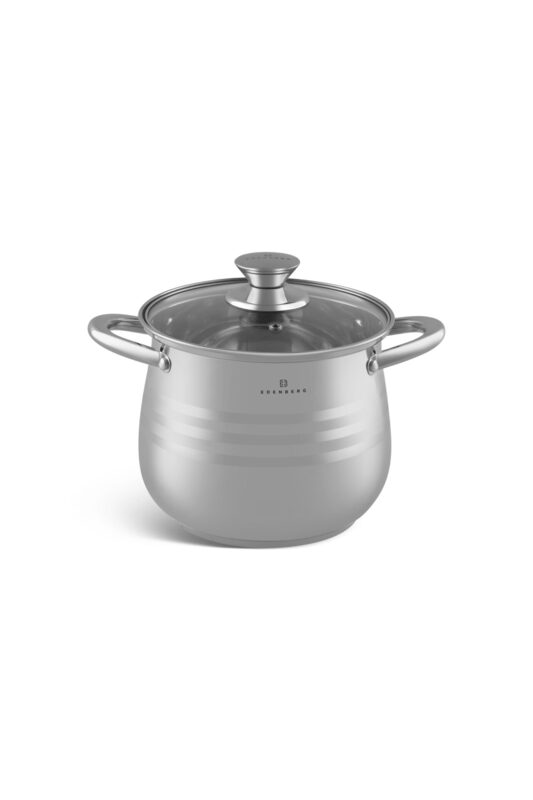 Edenberg 4 Ltr Stainless Steel Cooking Pot with Tempered Glass Lid, EB-532, Silver