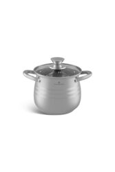 Edenberg 2.9 Ltr Stainless Steel Cooking Pot with Glass Lid, EB-531, Silver