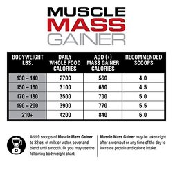 Labrada Muscle Mass Gainer, 12 Lbs, Vanilla