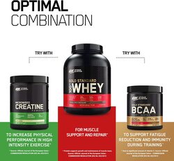 Optimum Nutrition Gold Standard 100% Whey Protein, 2 Lbs, Double Rich Chocolate