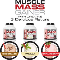 Labrada Muscle Mass Gainer With Creatine Vanilla Flavor 6lbs