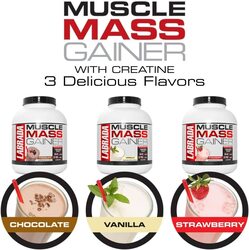 Labrada Muscle Mass Gainer, 6 Lbs, Chocolate