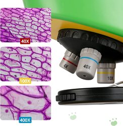 40X-400X Beginner Microscope Kit with Microscope Slides & LED Light, Green, Ages 5+