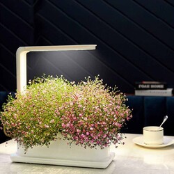 Intelligent Plant Desktop Grow Box Indoor Garden Kit