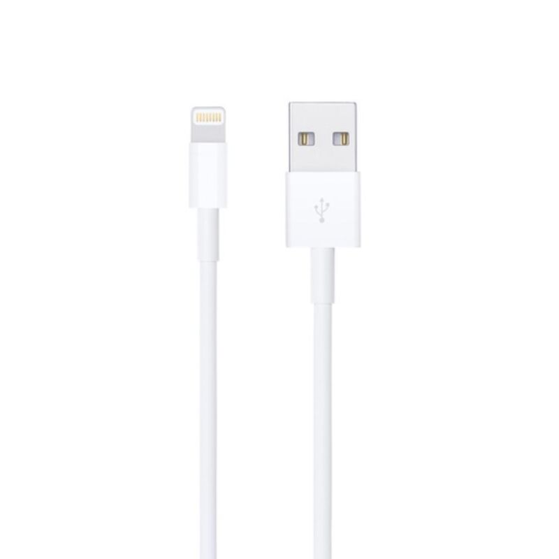 Apple Lightning To USB Cable 1 m