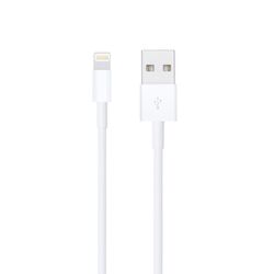 Apple Lightning To USB Cable 1 m